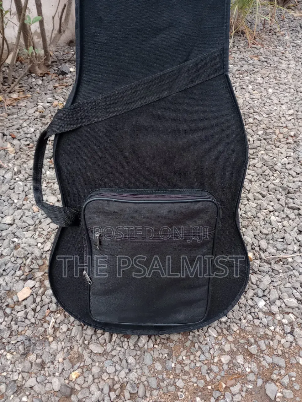 Ecore Blastet E 60 Guitar in Hard Case