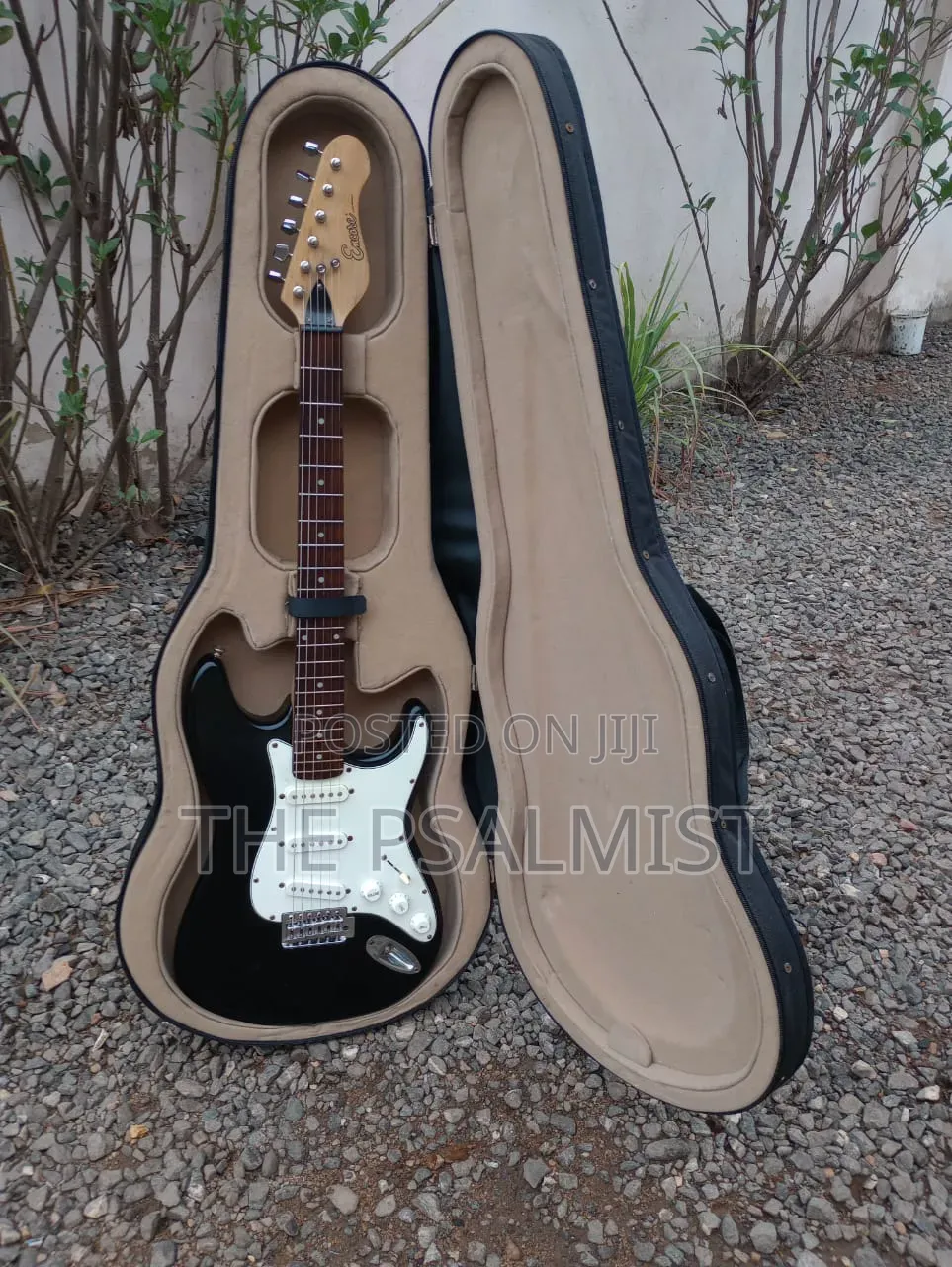 Ecore Blastet E 60 Guitar in Hard Case