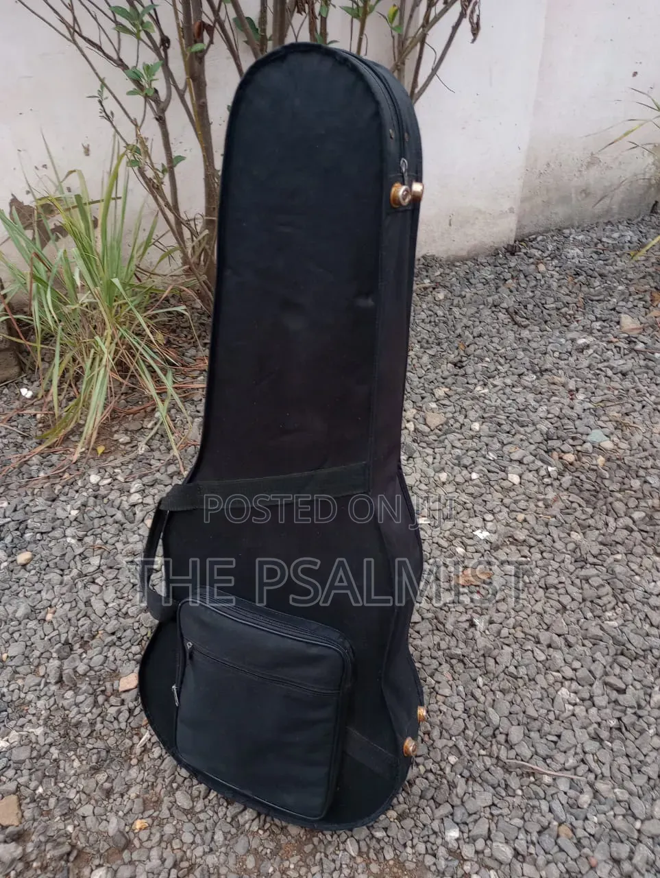 Ecore Blastet E 60 Guitar in Hard Case