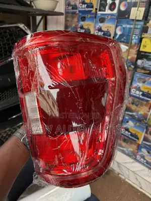 2021,2022,2023 Taillights for Ford F150