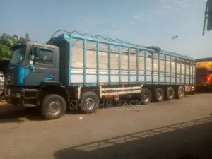 MAN Truck Cargo