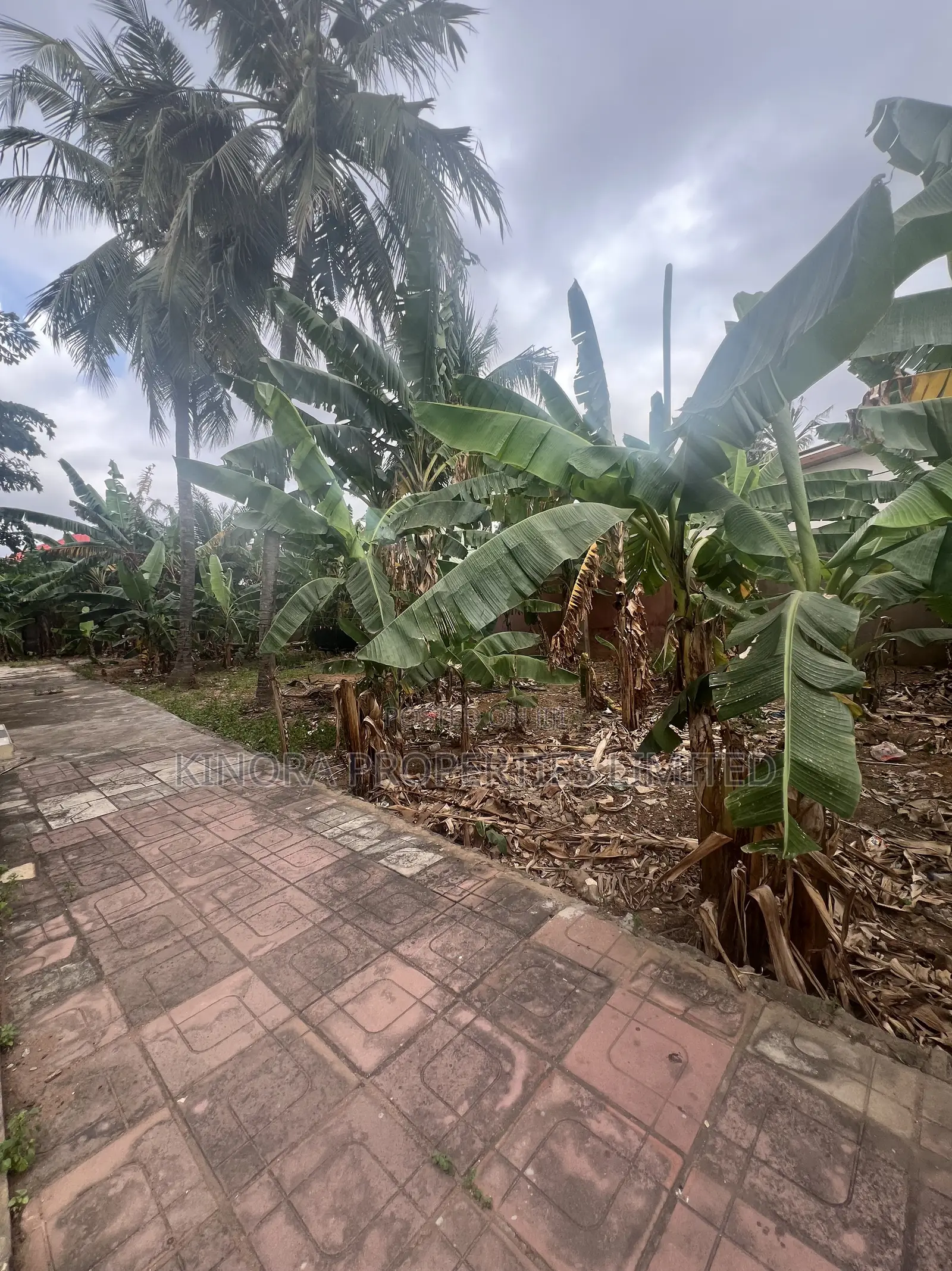 Acre of Land for Sale at Hatso Transitions Area