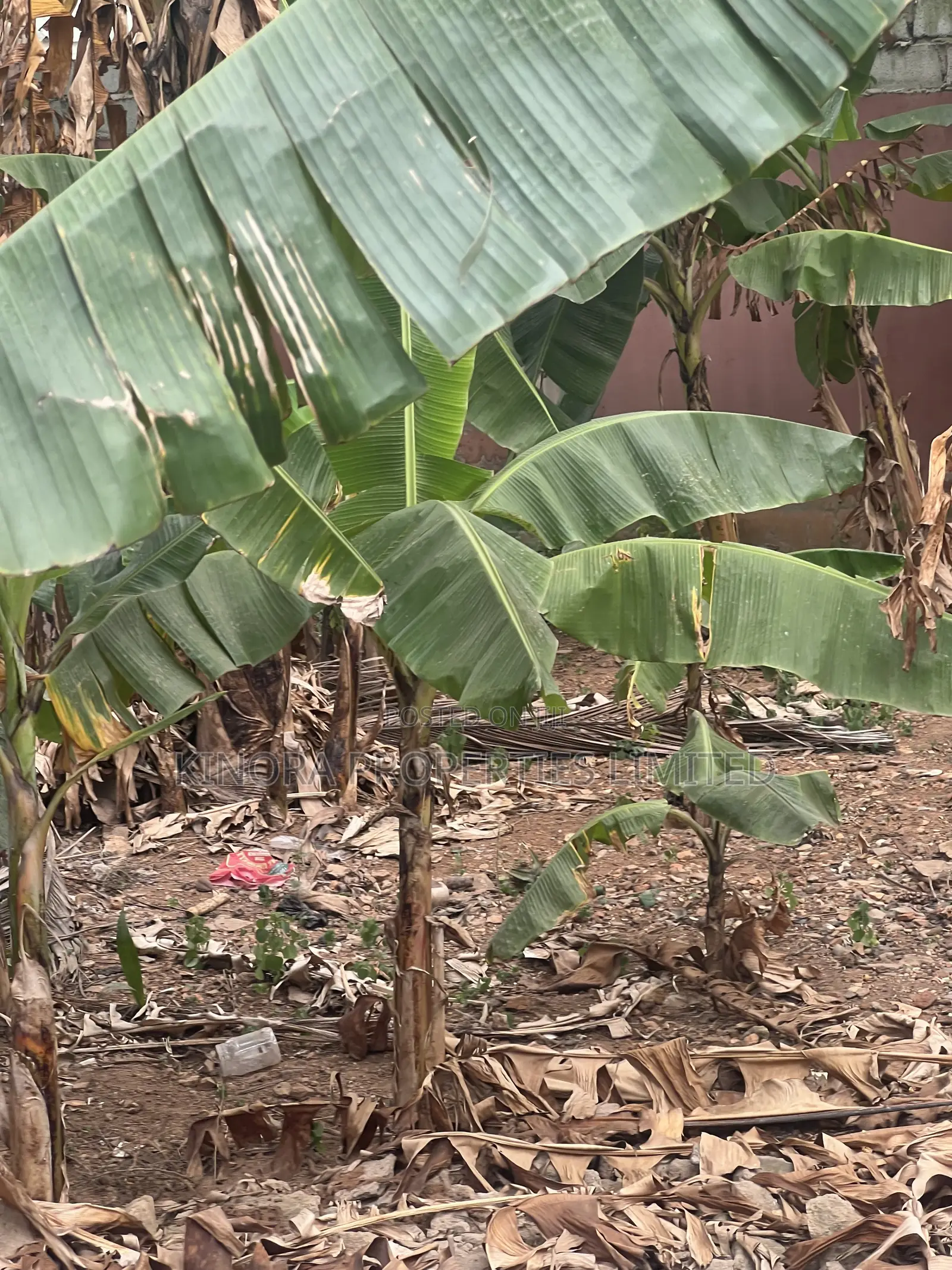 Acre of Land for Sale at Hatso Transitions Area