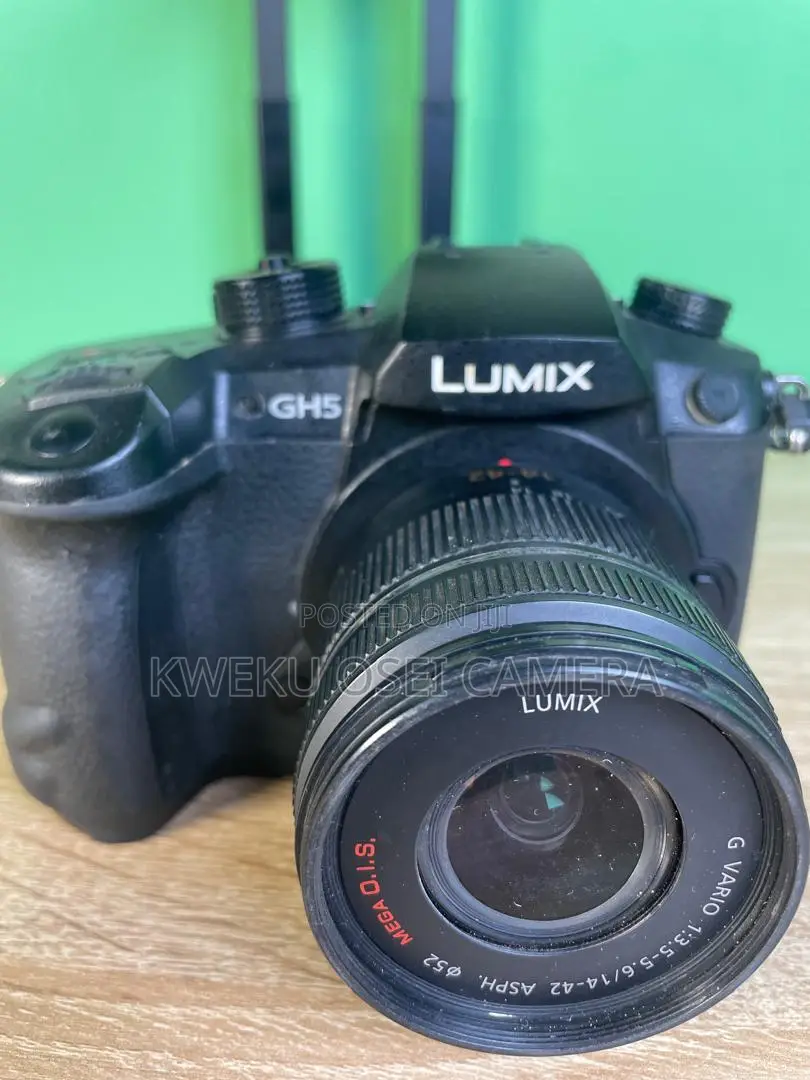 Panasonic Lumix GH5 With 14-42 MM Lens