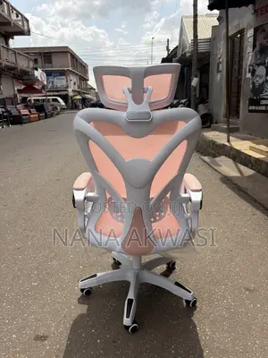 Gaming and Office Chair