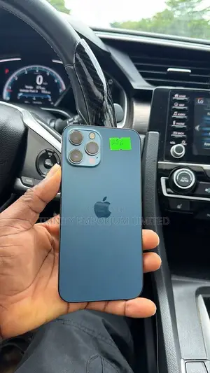 Apple iPhone 12 Pro Max 256 GB Blue