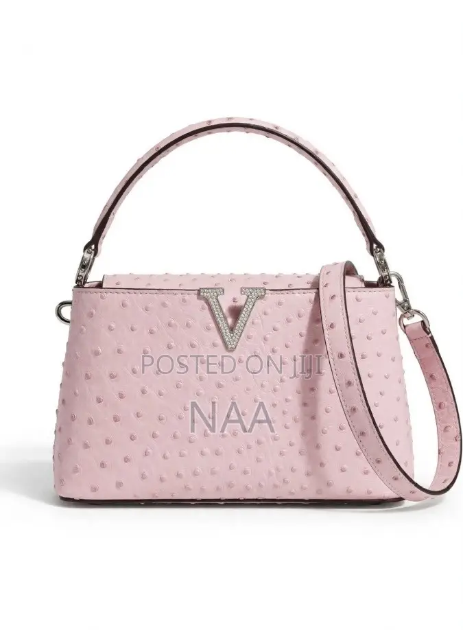 Ladies Hand Bag
