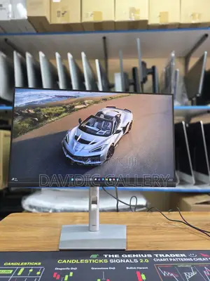 Dell 24 Inch Monitor P2425h