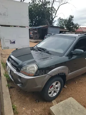 Hyundai Tucson GLS AWD 2010 Green