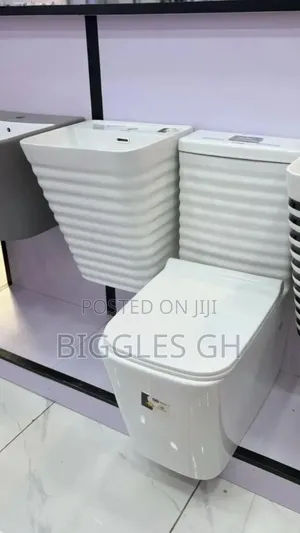 Modern Wc With Basin