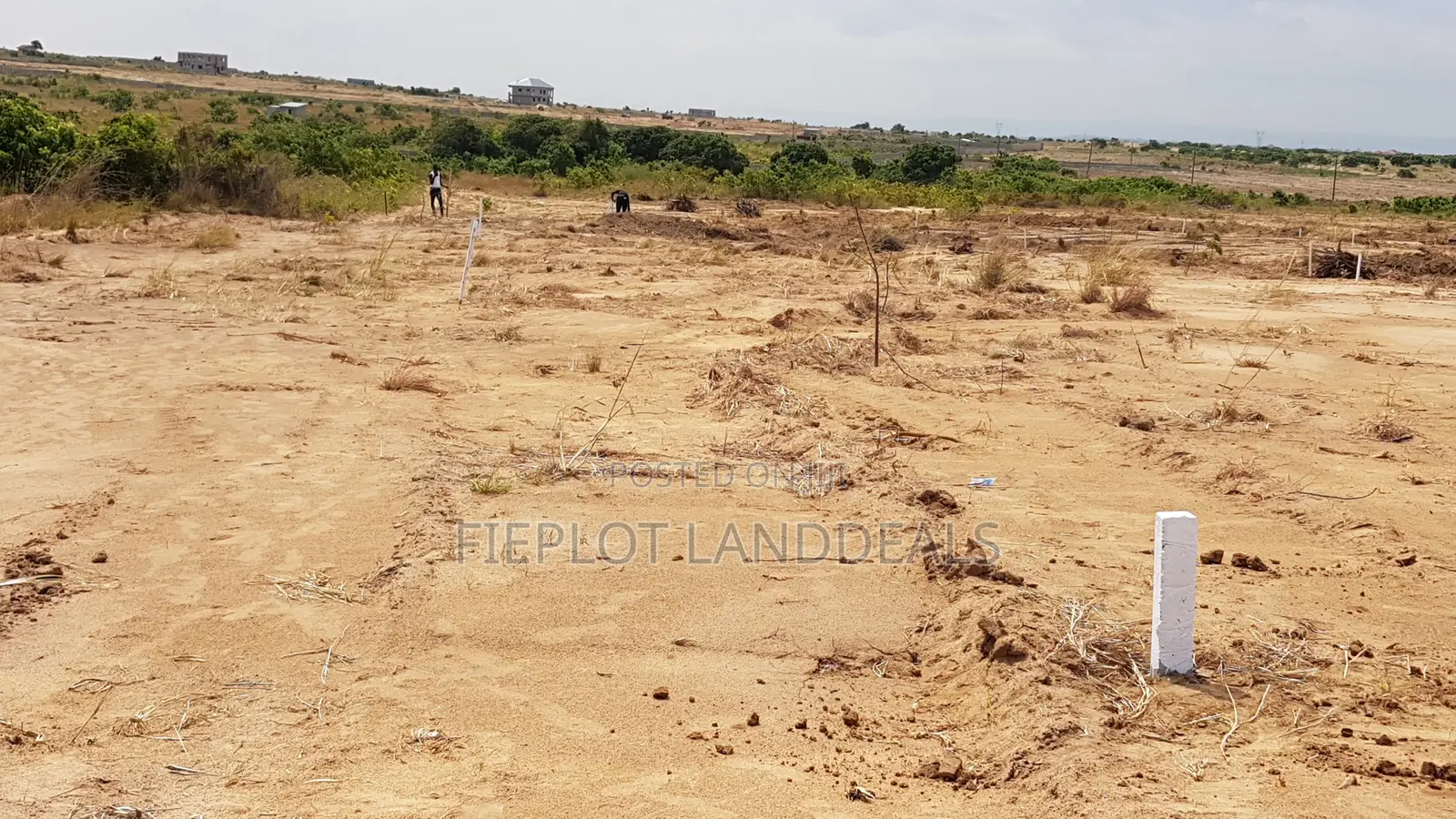 Own a Full Plot at Beverly Hills Estate, Tema Community 25