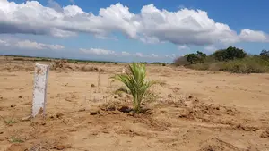 Own a Full Plot at Beverly Hills Estate, Tema Community 25