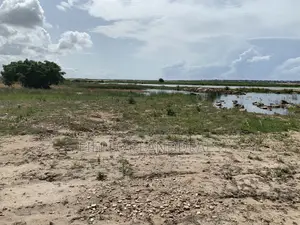Invest in a Full Plot Just 5 Minutes From Devtraco Estate
