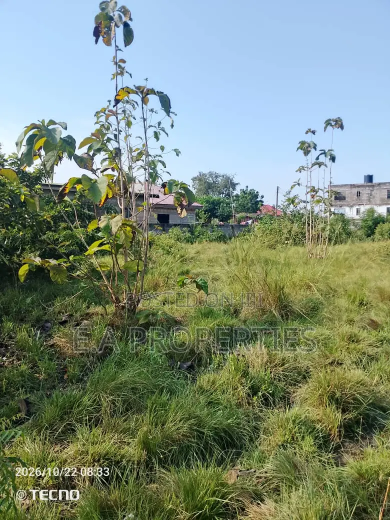 2plot for Land for Sale at Dodowa