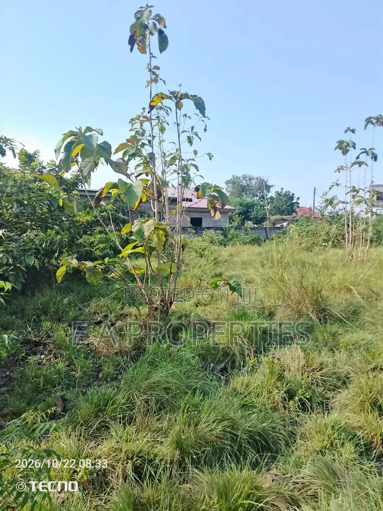 2plot for Land for Sale at Dodowa