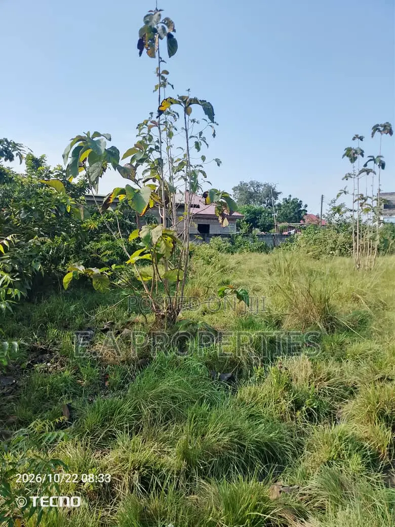 2plot for Land for Sale at Dodowa