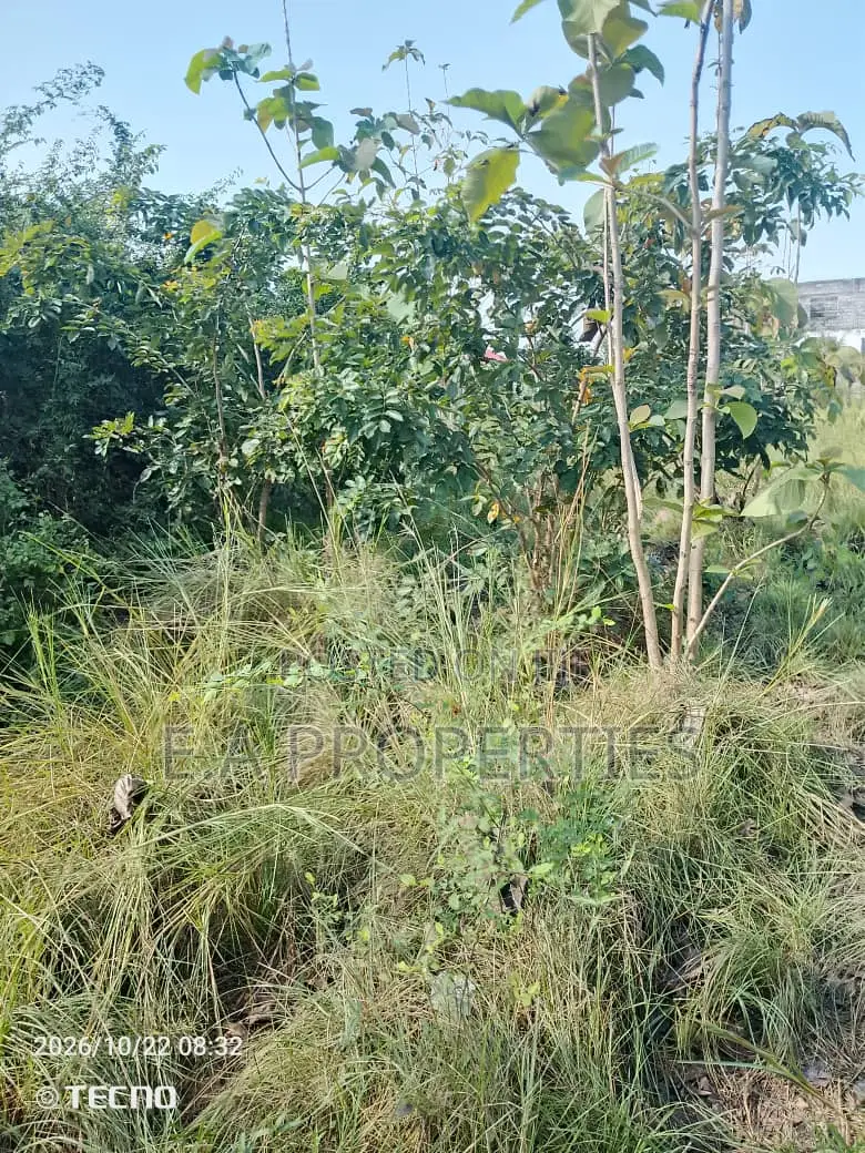 2plot for Land for Sale at Dodowa