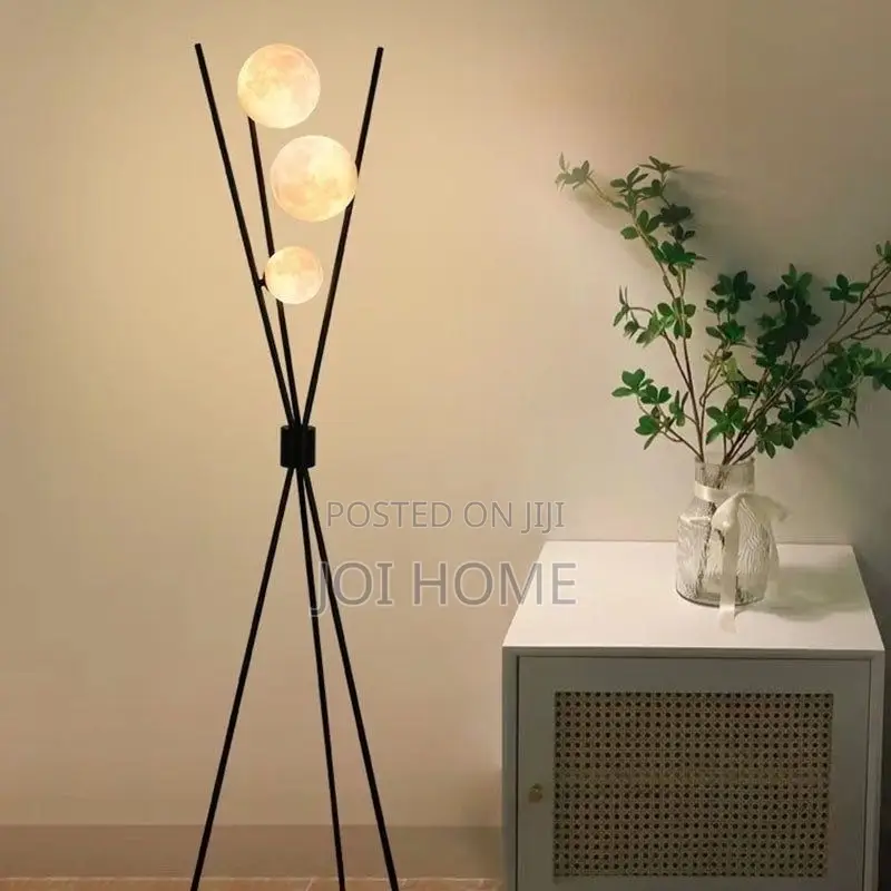 Moon Floor Lamp