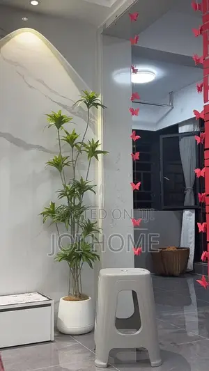 200cm Artificial Plants