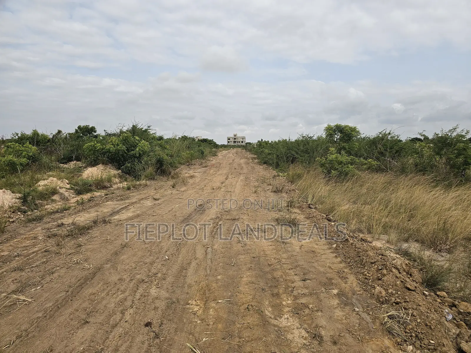 Invest in a Full Plot at City of David, Prampram