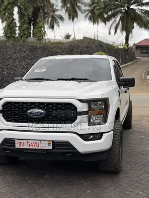 Ford F-150 2023 White