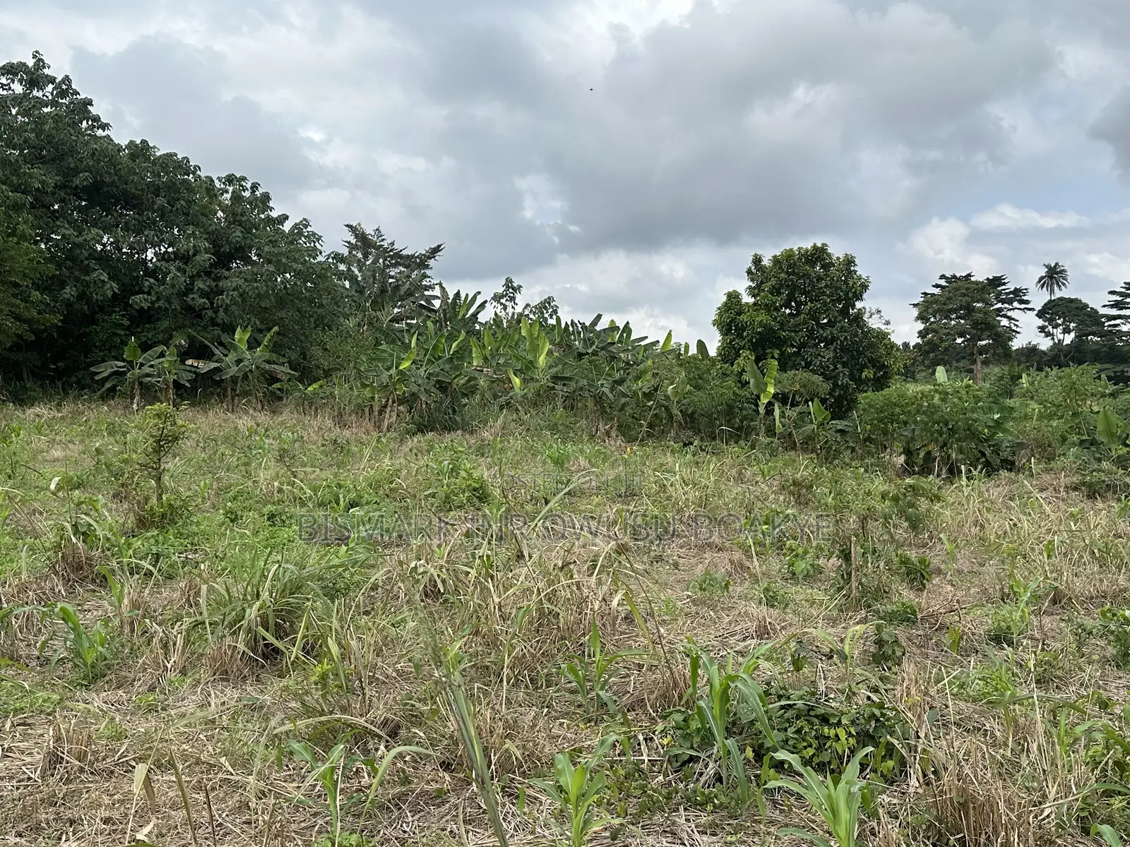Plot of Land for Sale at Santasi-Darko
