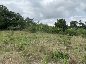 Plot of Land for Sale at Santasi-Darko