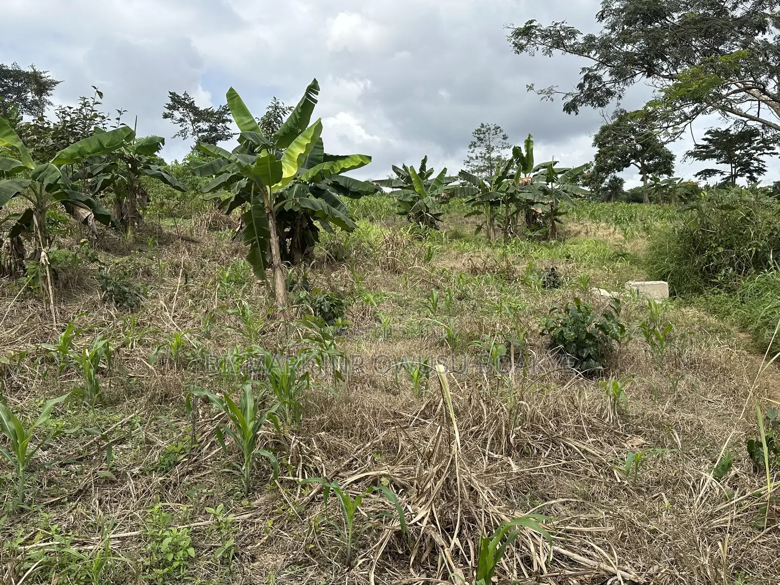 Plot of Land for Sale at Santasi-Darko