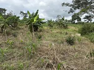 Plot of Land for Sale at Santasi-Darko
