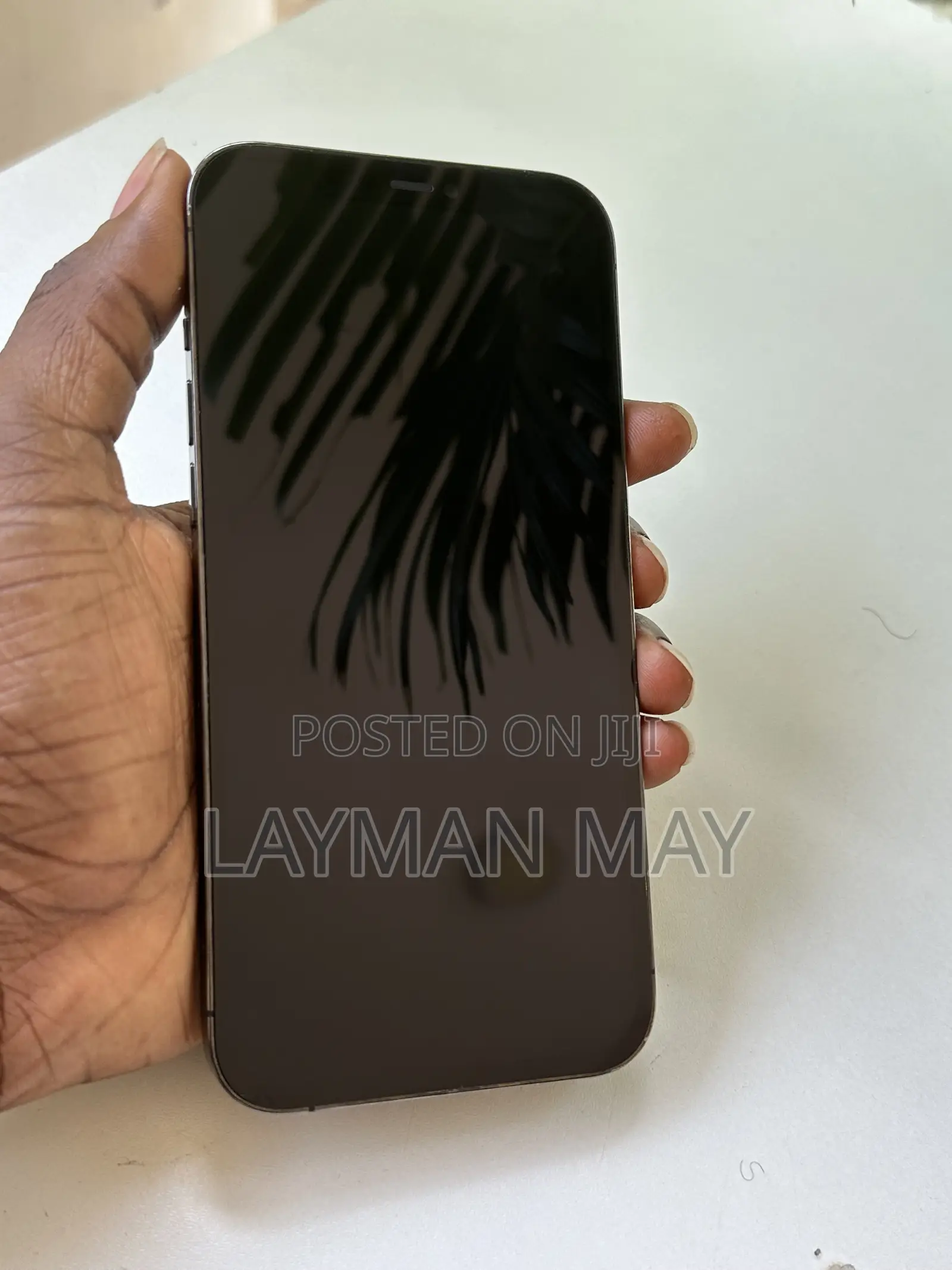 Apple iPhone 12 Pro Max 256 GB Gray