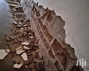 Wall Treatment Masters