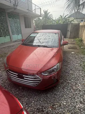 Hyundai Elantra 2017 Orange