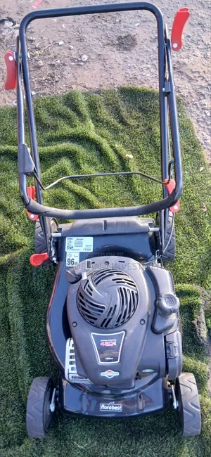 Florabest B & S 450 Series Lawn Mower