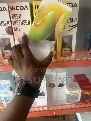 IKEDA Honeydew Reed Diffuser Set 160ml + 250ml Refill