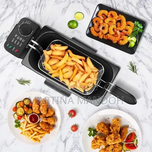 Aigostar Electric Deep Fryer