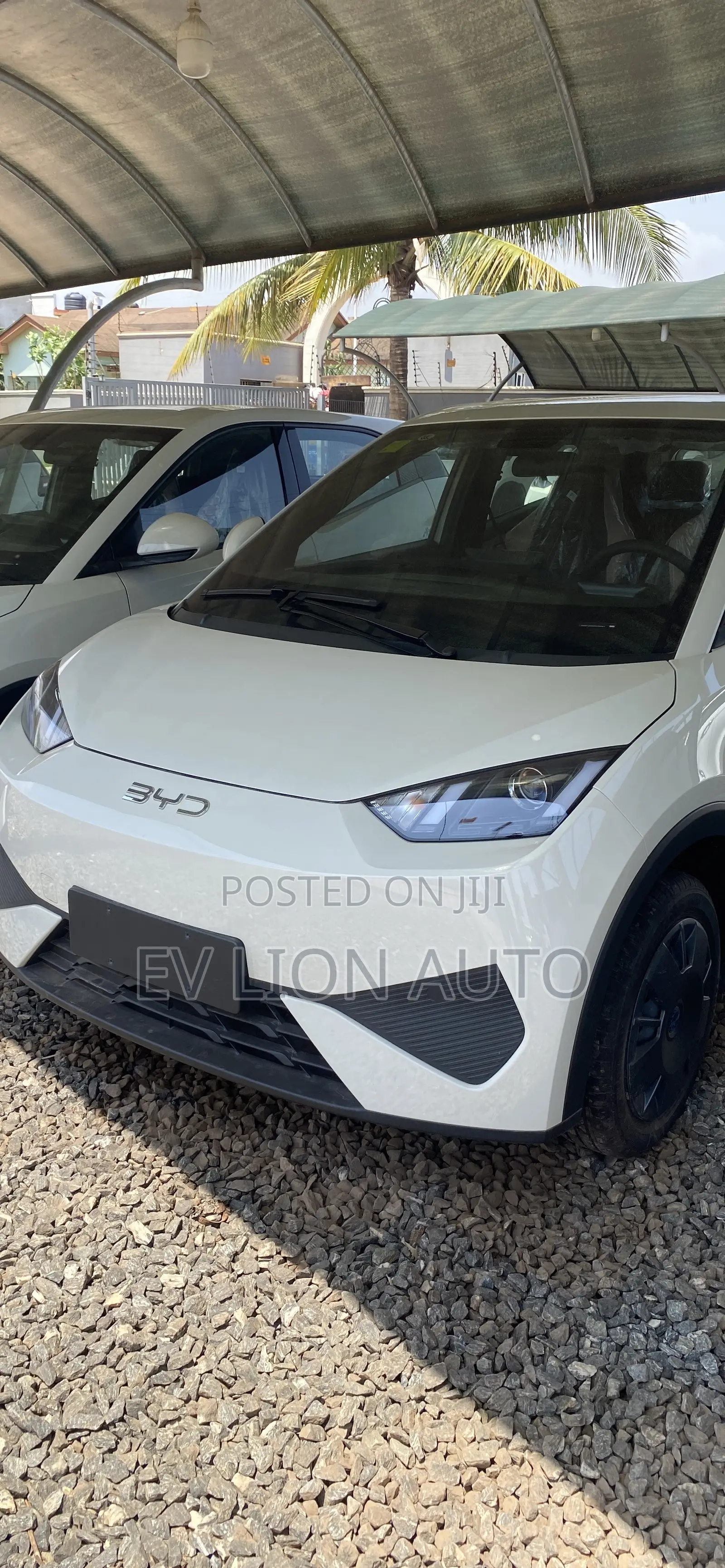 New BYD Seagull 2025 White