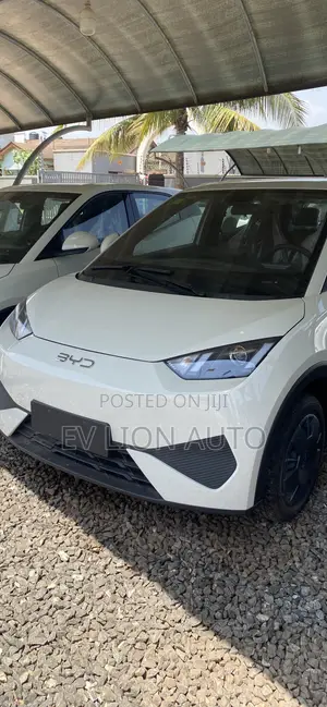 New BYD Seagull 2025 White