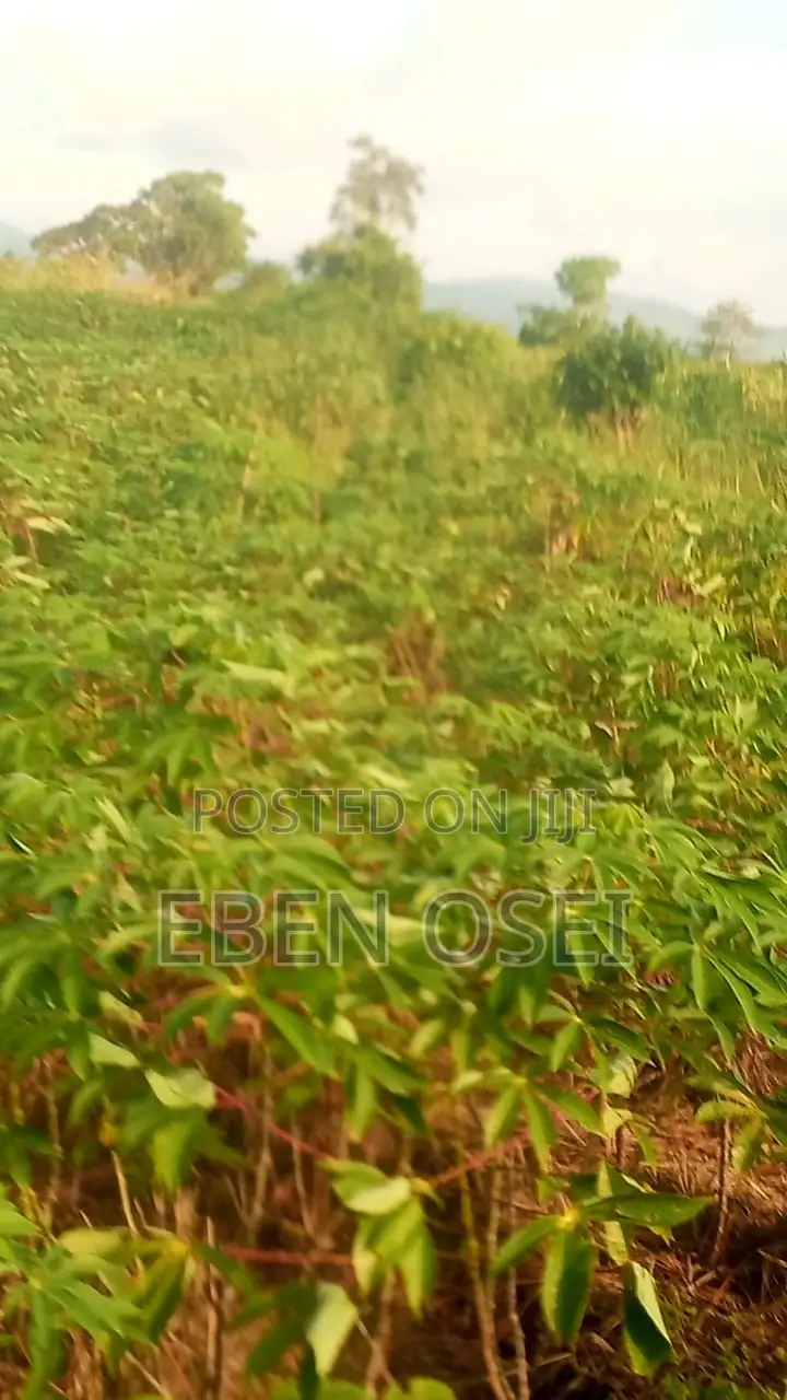 Land for Sale at Adeiso Right Behind Kasapreko Factory