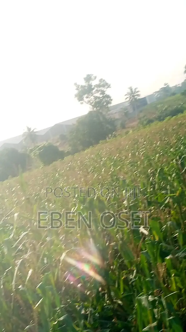 Land for Sale at Adeiso Right Behind Kasapreko Factory