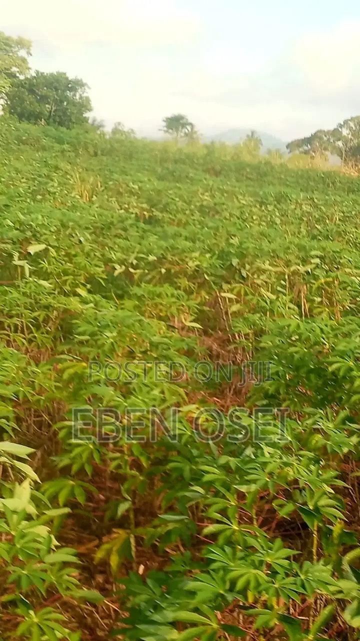 Land for Sale at Adeiso Right Behind Kasapreko Factory
