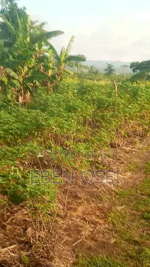 Land for Sale at Adeiso Right Behind Kasapreko Factory