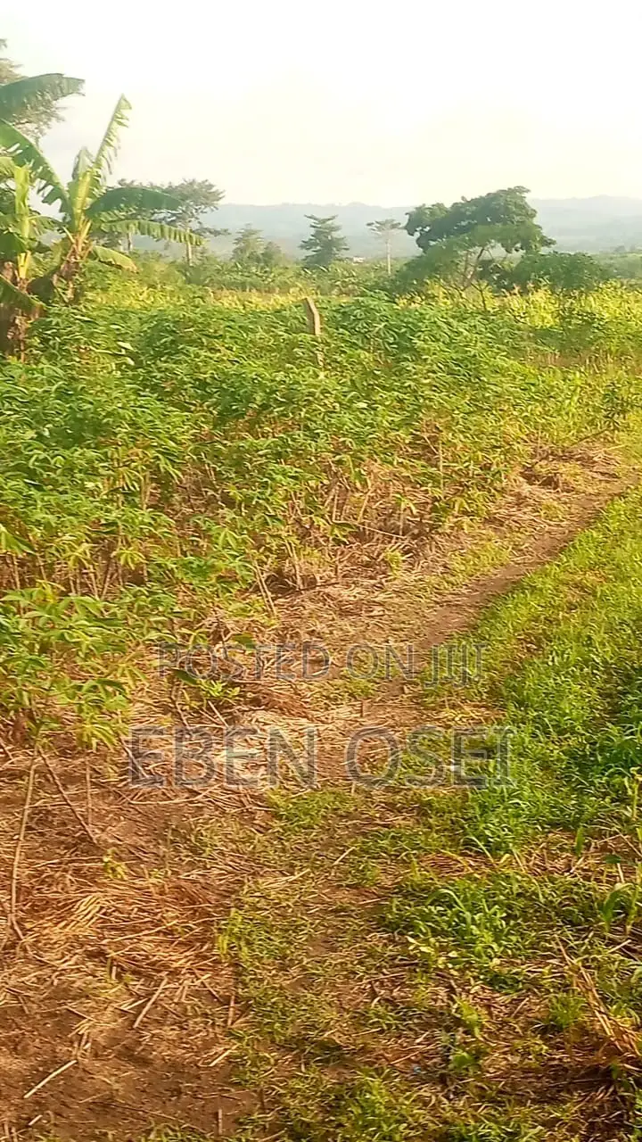 Land for Sale at Adeiso Right Behind Kasapreko Factory