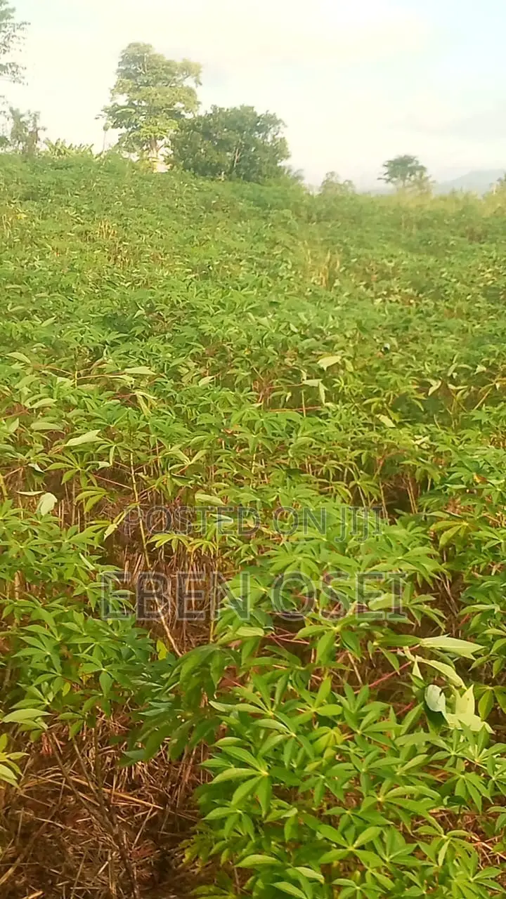 Land for Sale at Adeiso Right Behind Kasapreko Factory
