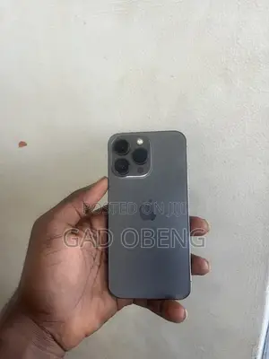 Apple iPhone 13 Pro 256 GB Gray