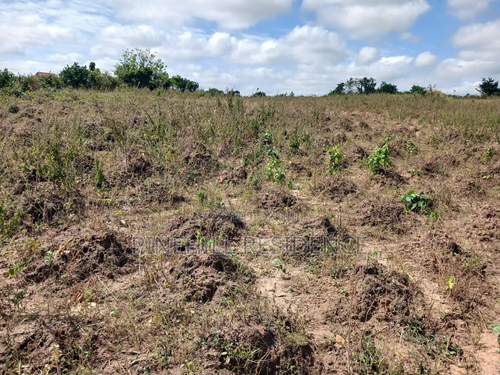 1 Plot of Land for Sale(Buduatta)