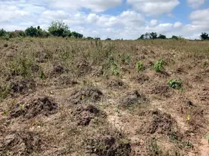 1 Plot of Land for Sale(Buduatta)