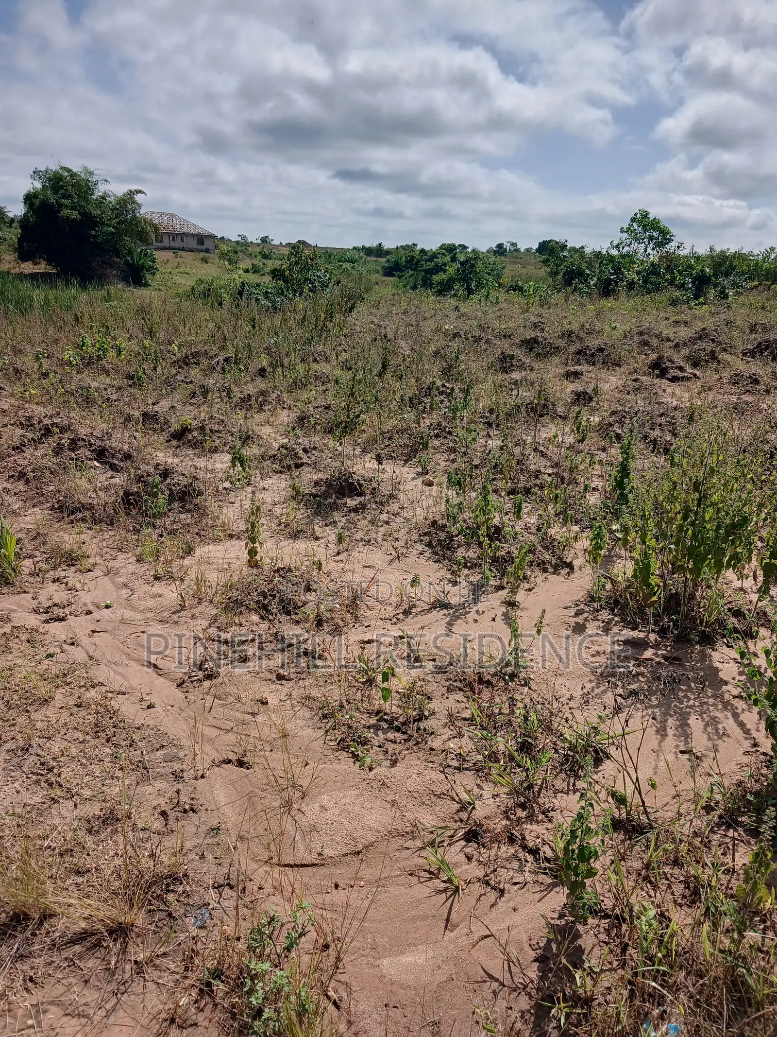 1 Plot of Land for Sale(Buduatta)