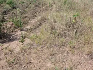 1 Plot of Land for Sale(Buduatta)