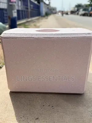 Stereo Foam Ice Ches