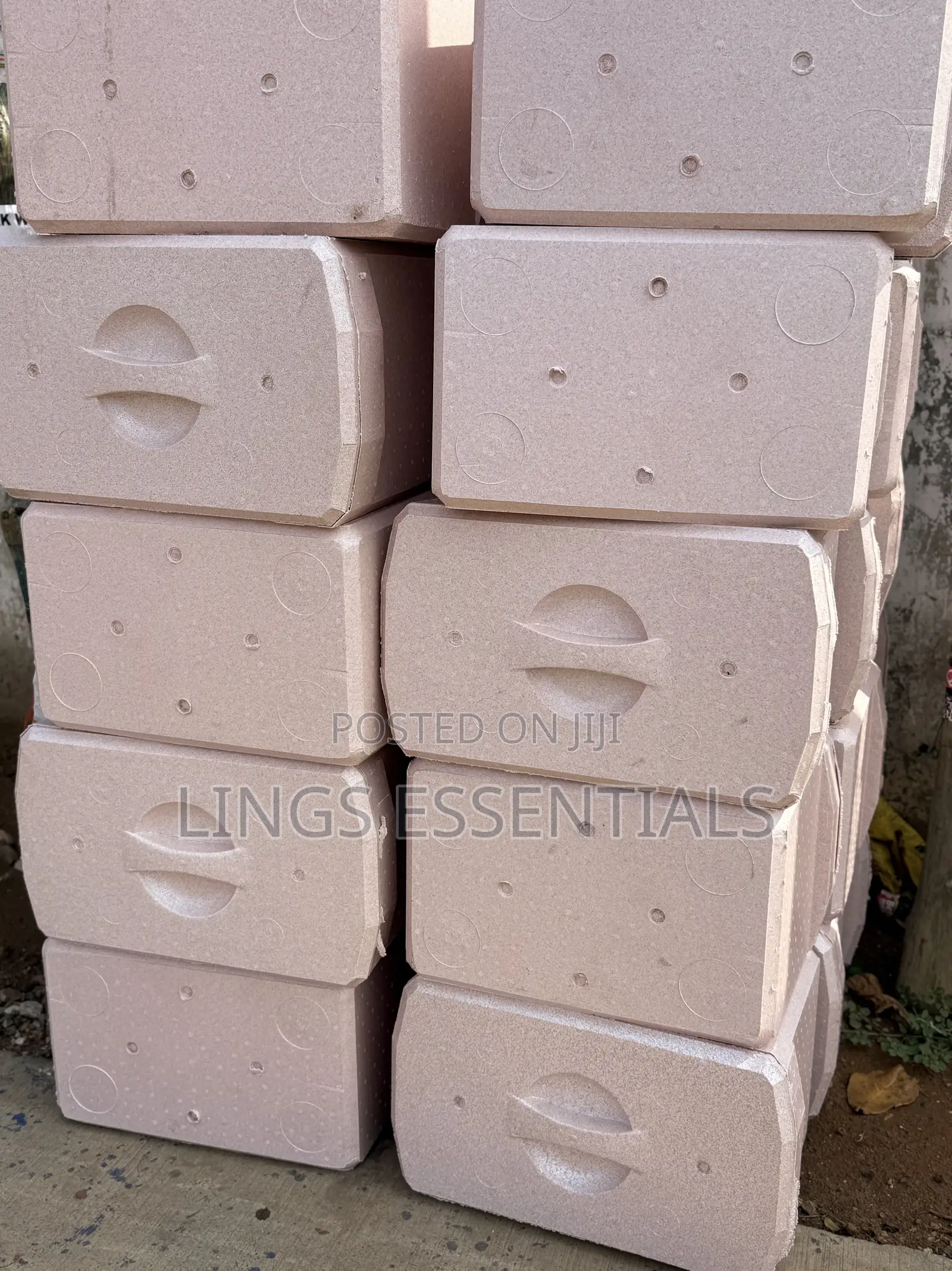 Stereo Foam Ice Ches